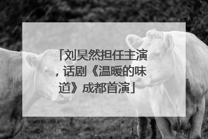 刘昊然担任主演，话剧《温暖的味道》成都首演