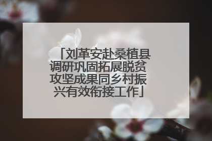 刘革安赴桑植县调研巩固拓展脱贫攻坚成果同乡村振兴有效衔接工作