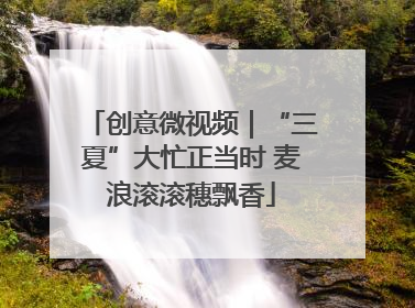 创意微视频｜“三夏”大忙正当时 麦浪滚滚穗飘香