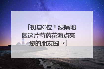 初夏C位！绿隔地区这片芍药花海点亮您的朋友圈→