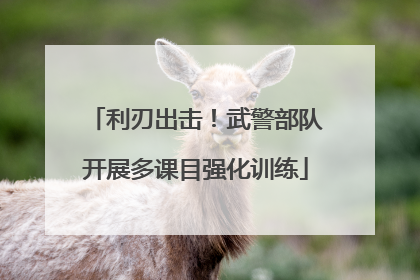 利刃出击！武警部队开展多课目强化训练