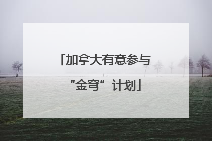 加拿大有意参与“金穹”计划