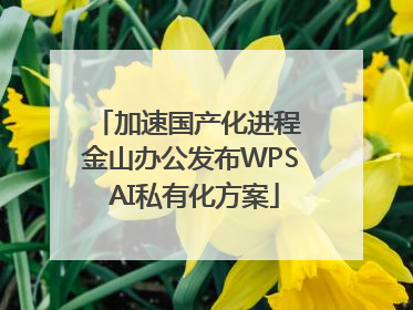 加速国产化进程 金山办公发布WPS AI私有化方案