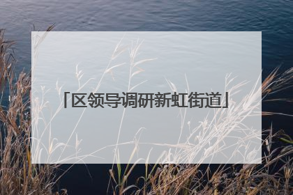 区领导调研新虹街道