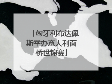 匈牙利布达佩斯举办意大利面桥世锦赛