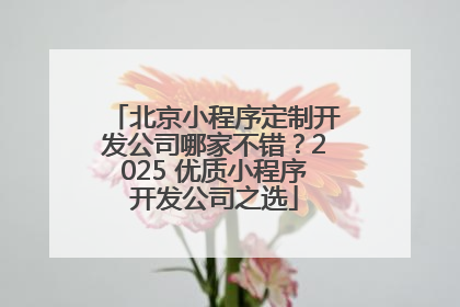 北京小程序定制开发公司哪家不错？2025 优质小程序开发公司之选
