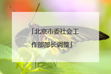 北京市委社会工作部部长调整