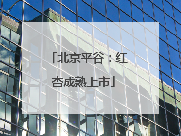 北京平谷：红杏成熟上市