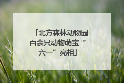 北方森林动物园百余只动物萌宝“六一”亮相