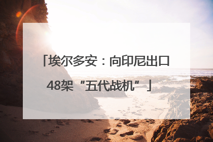 埃尔多安：向印尼出口48架“五代战机”