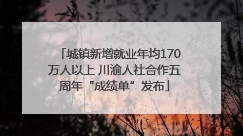 城镇新增就业年均170万人以上 川渝人社合作五周年“成绩单”发布