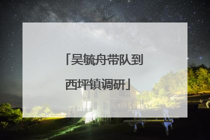 吴毓舟带队到西坪镇调研