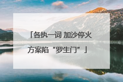 各执一词 加沙停火方案陷“罗生门”