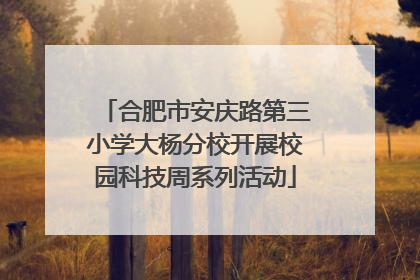 合肥市安庆路第三小学大杨分校开展校园科技周系列活动