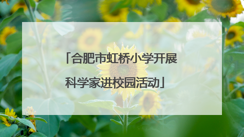 合肥市虹桥小学开展科学家进校园活动