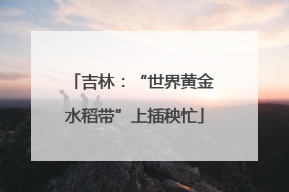 吉林：“世界黄金水稻带”上插秧忙