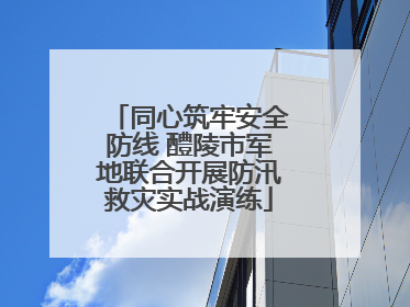 同心筑牢安全防线 醴陵市军地联合开展防汛救灾实战演练