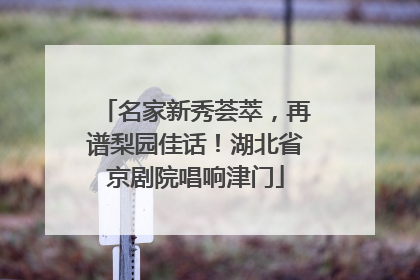 名家新秀荟萃，再谱梨园佳话！湖北省京剧院唱响津门