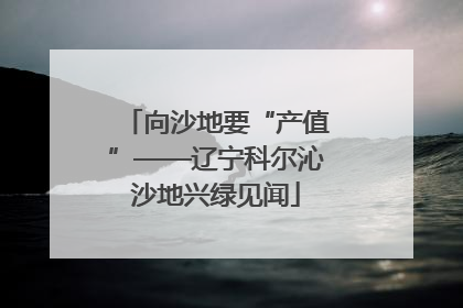 向沙地要“产值”——辽宁科尔沁沙地兴绿见闻