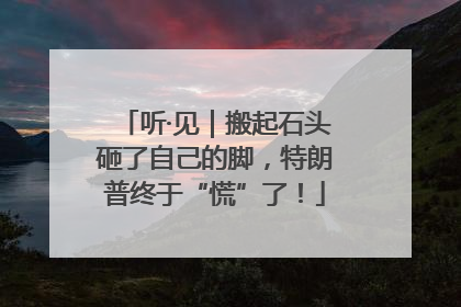 听·见｜搬起石头砸了自己的脚，特朗普终于“慌”了！