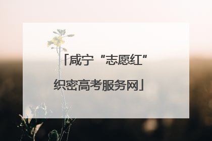 咸宁“志愿红”织密高考服务网