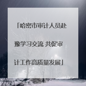 哈密市审计人员赴豫学习交流 共促审计工作高质量发展