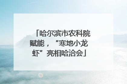 哈尔滨市农科院赋能，“寒地小龙虾”亮相哈洽会