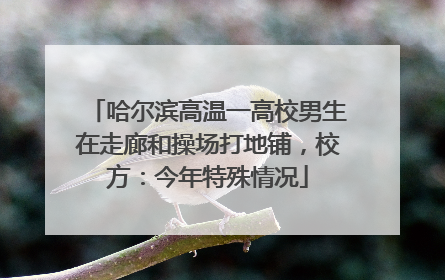 哈尔滨高温一高校男生在走廊和操场打地铺，校方：今年特殊情况