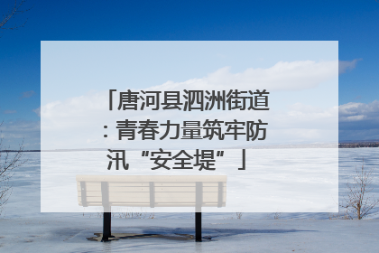 唐河县泗洲街道：青春力量筑牢防汛“安全堤”