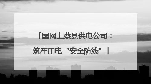 国网上蔡县供电公司：筑牢用电“安全防线”