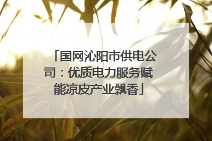 国网沁阳市供电公司：优质电力服务赋能凉皮产业飘香