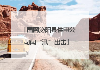 国网泌阳县供电公司闻“汛”出击