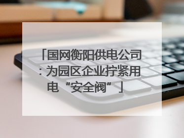 国网衡阳供电公司：为园区企业拧紧用电“安全阀”