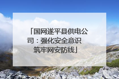 国网遂平县供电公司：强化安全意识 筑牢网安防线