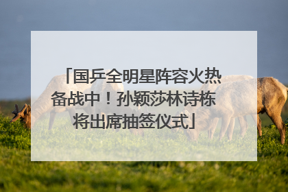国乒全明星阵容火热备战中！孙颖莎林诗栋将出席抽签仪式