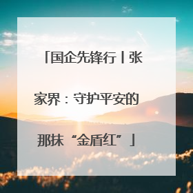 国企先锋行丨张家界：守护平安的那抹“金盾红”