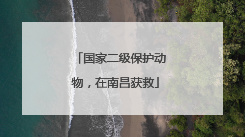国家二级保护动物，在南昌获救