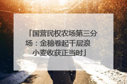 国营民权农场第三分场：金穗卷起千层浪 小麦收获正当时