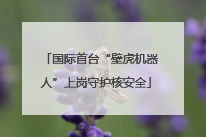 国际首台“壁虎机器人”上岗守护核安全
