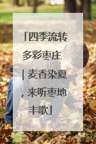 四季流转 多彩枣庄｜麦香染夏，来听枣地丰歌