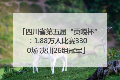 四川省第五届“贡嘎杯”：1.88万人比赛3300场 决出26组冠军