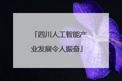 四川人工智能产业发展令人振奋