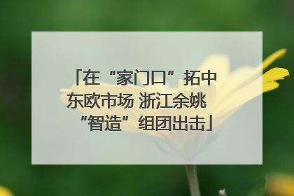 在“家门口”拓中东欧市场 浙江余姚“智造”组团出击