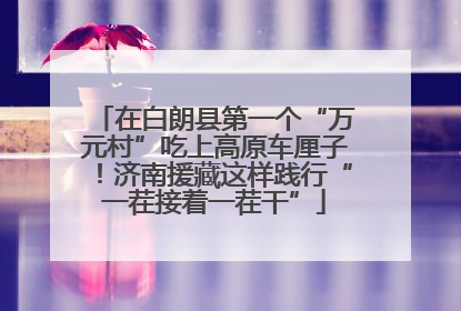 在白朗县第一个“万元村”吃上高原车厘子！济南援藏这样践行“一茬接着一茬干”