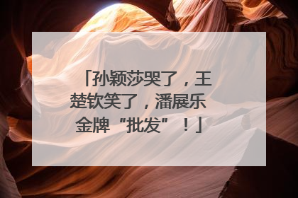 孙颖莎哭了，王楚钦笑了，潘展乐金牌“批发”！