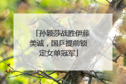 孙颖莎战胜伊藤美诚，国乒提前锁定女单冠军