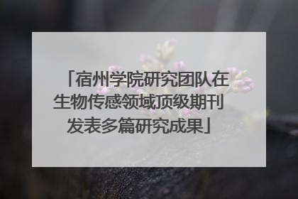宿州学院研究团队在生物传感领域顶级期刊发表多篇研究成果