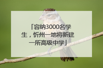 容纳3000名学生，忻州一地将新建一所高级中学