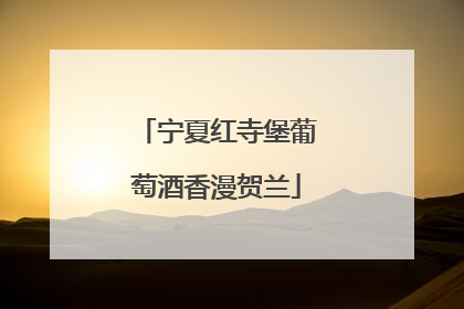 宁夏红寺堡葡萄酒香漫贺兰
