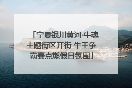 宁夏银川黄河·牛魂主题街区开街 牛王争霸赛点燃假日氛围